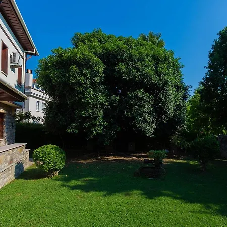 Celik Villa Ortaca
